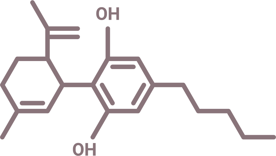 CBD Colour Icon